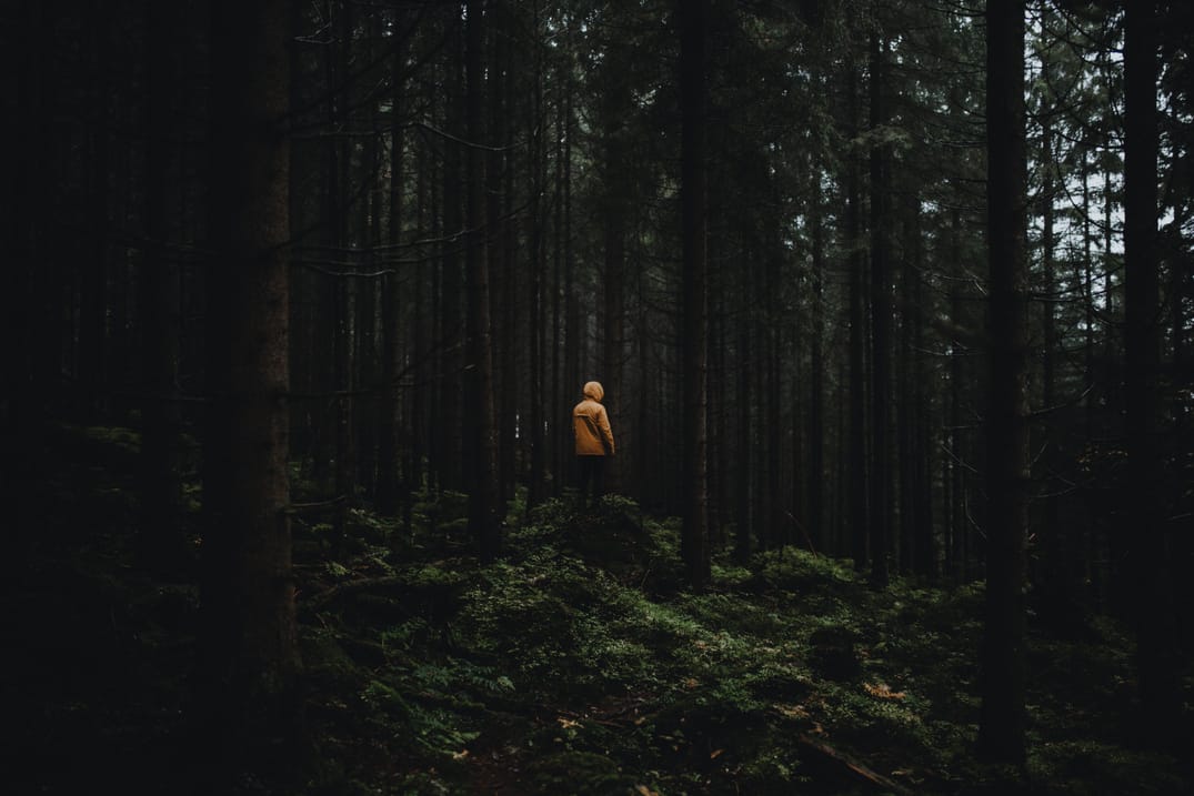 Lost in woods