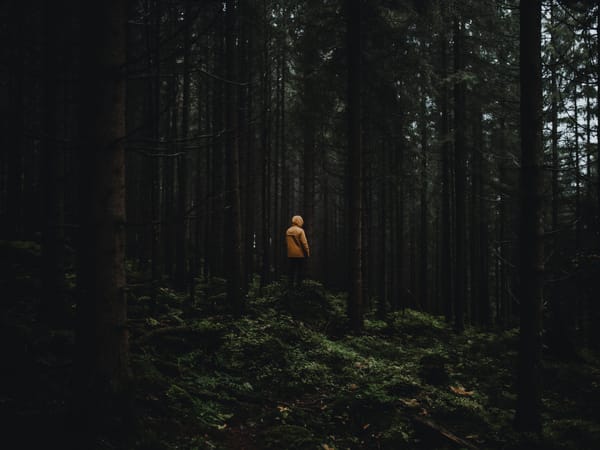 Image of: You are lost because you have no aim